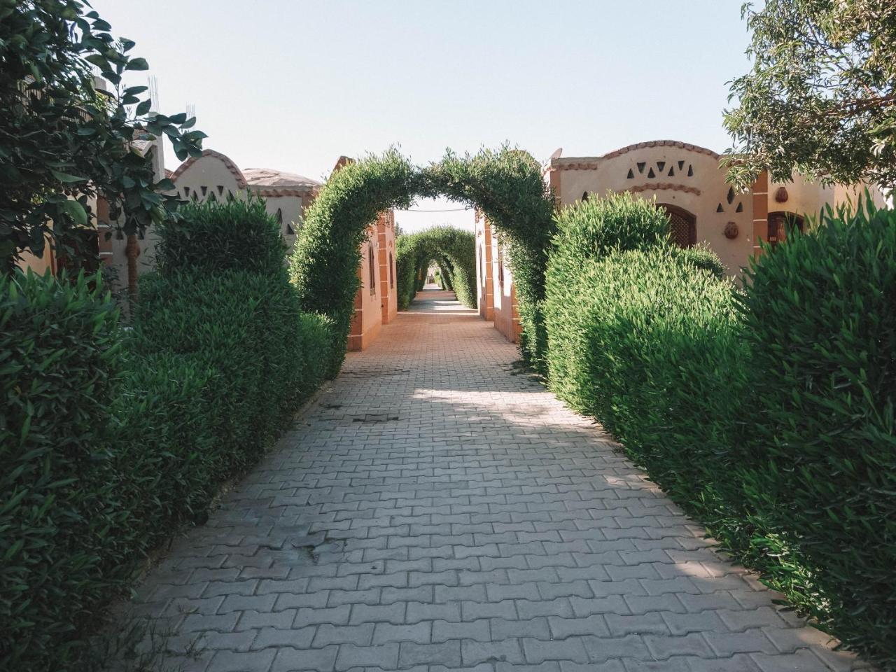 Al Baeirat Hotel Luxor Buitenkant foto